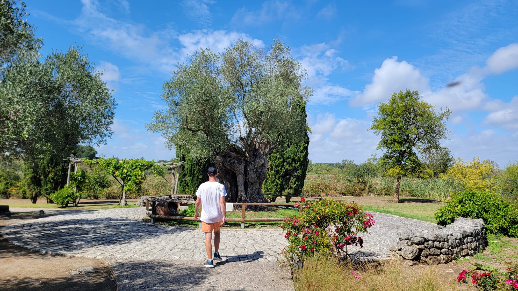 Planet Exotica zone méditerranéenne