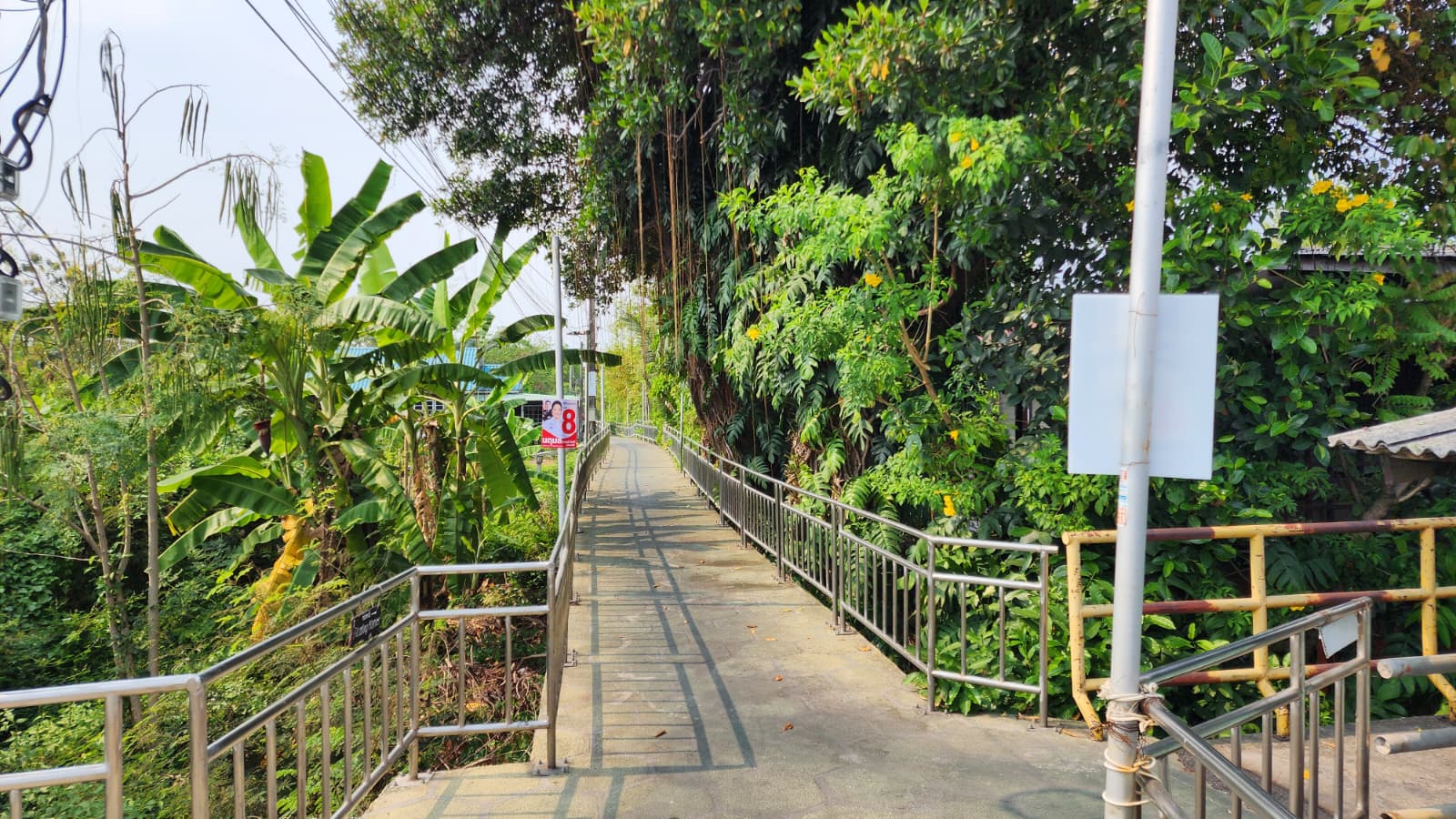 Carrefour nature Bang Kachao 