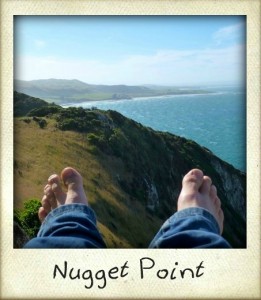 Nugget-Point-261x300
