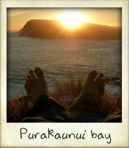 Purakaunuibay-261x300