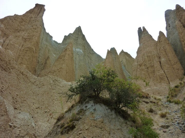 Clay Cliffs