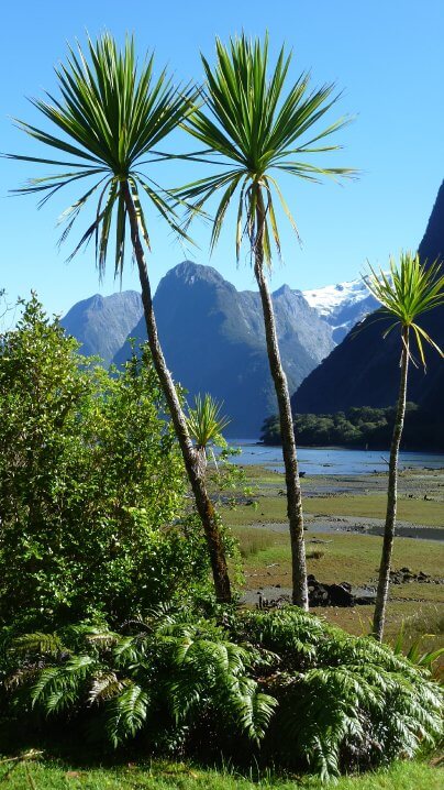 Fjordland-3 Fjordland milford sound