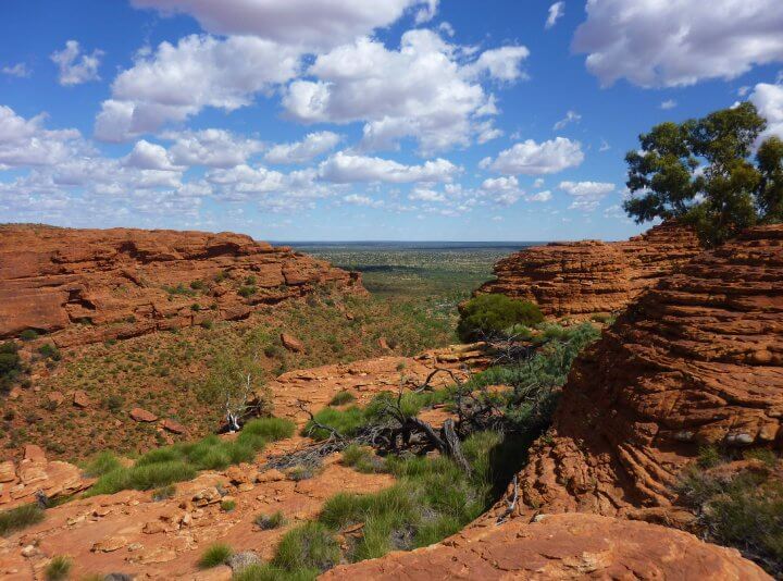 Kings canyon red center