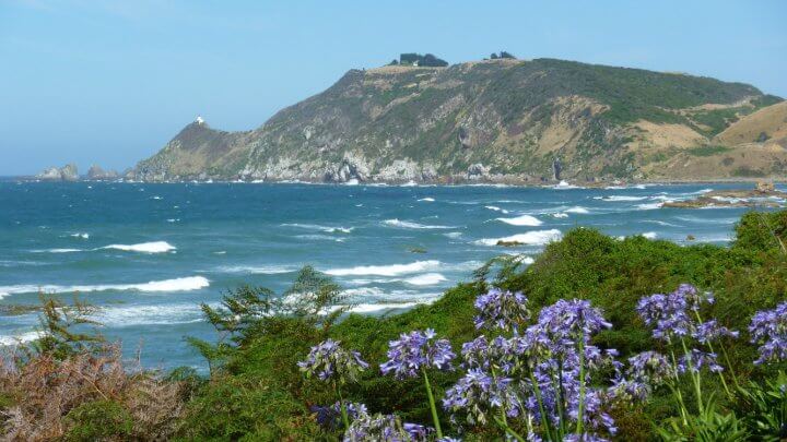 Nugget Point au loin depuis Kaka point