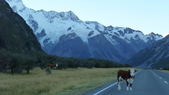 Road trip Nouvelle-Zélande