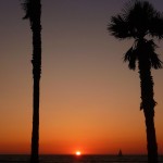 Palmier coucher de soleil Venice Beach Los Angeles