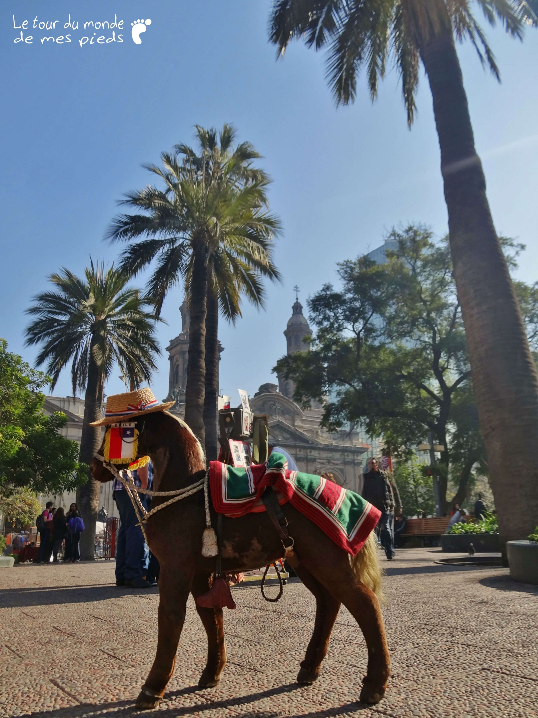 santiago de chile poney