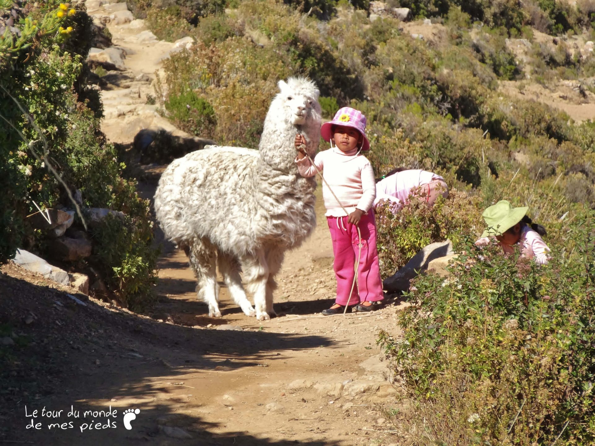 petite fille lama isla del sol bolivie