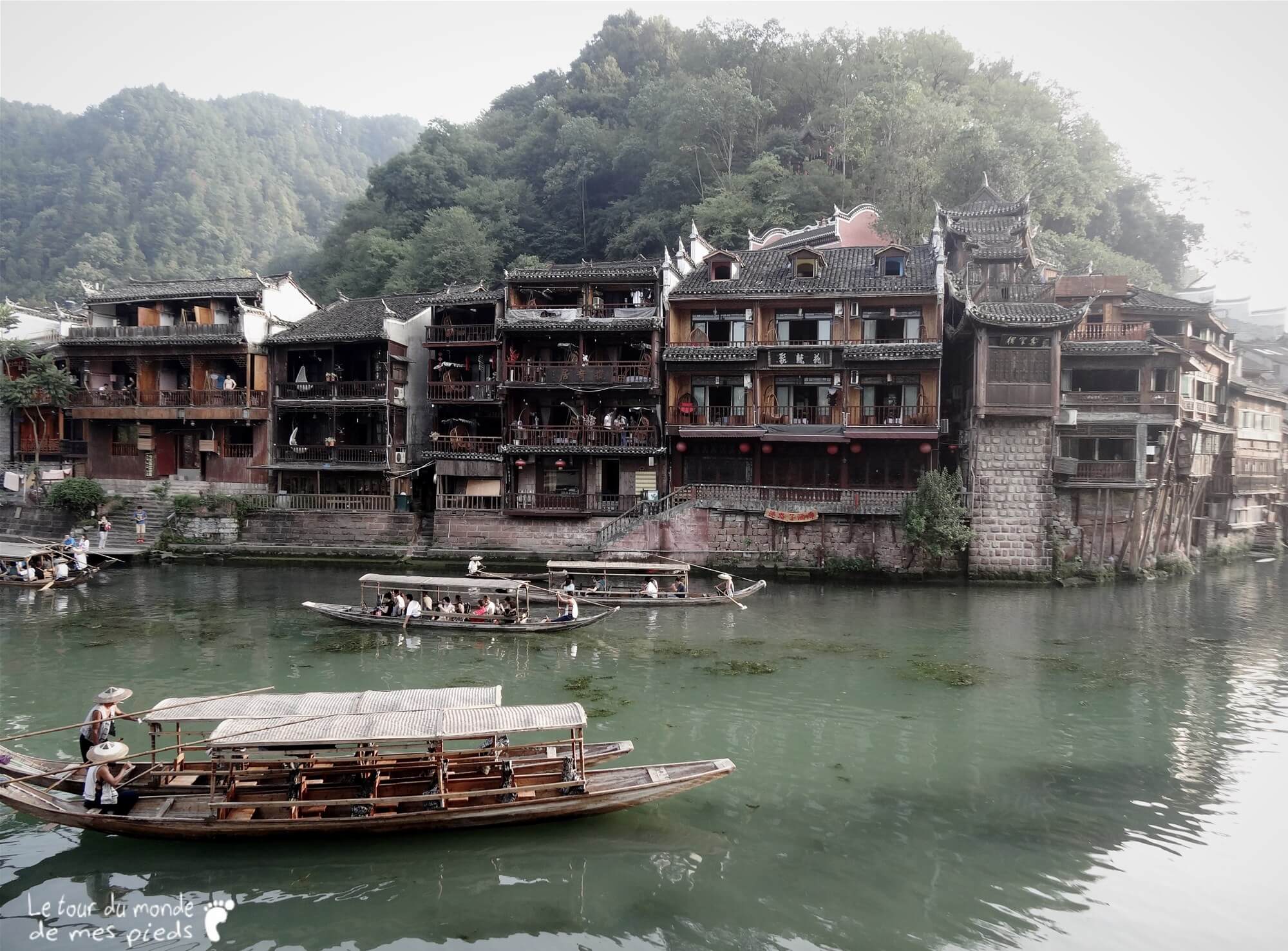 Fenghuang noir et blanc