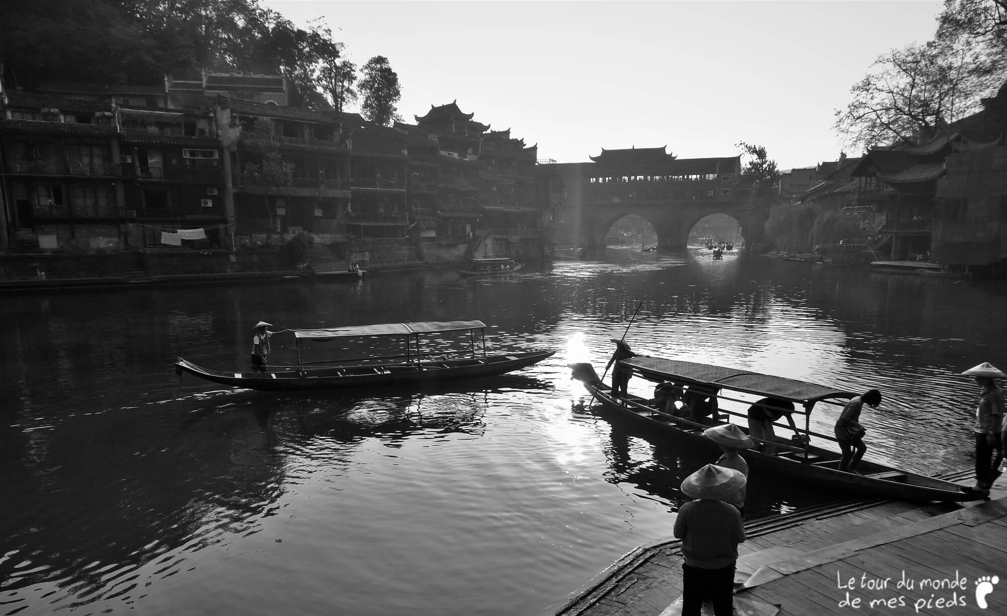 Fenghuang noir et blanc