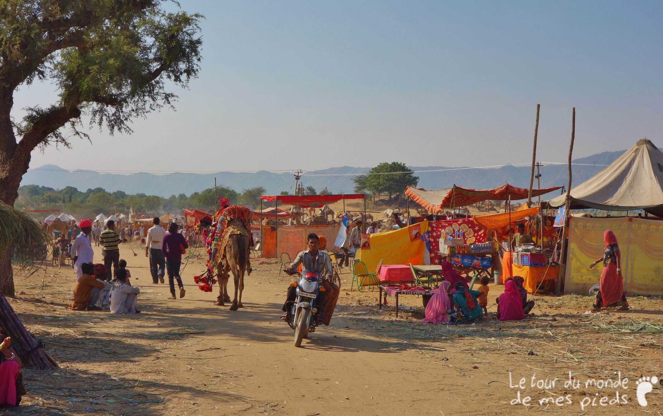 Pushkar moto