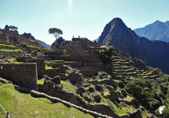 terrasses perou Picchu