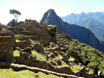 panorama Machu Picchu arbre