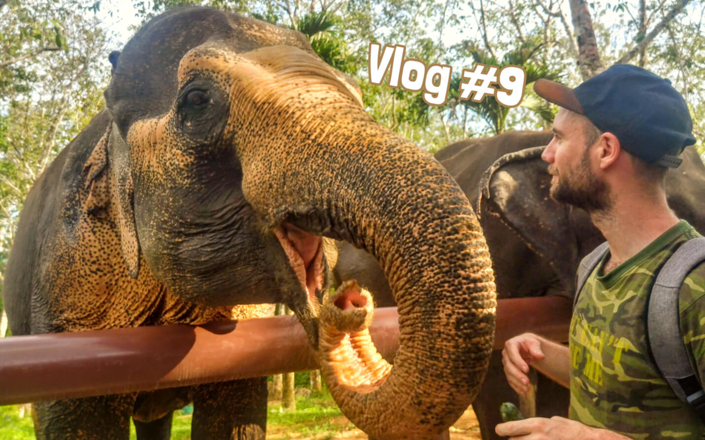 vlog thaïlande éléphants