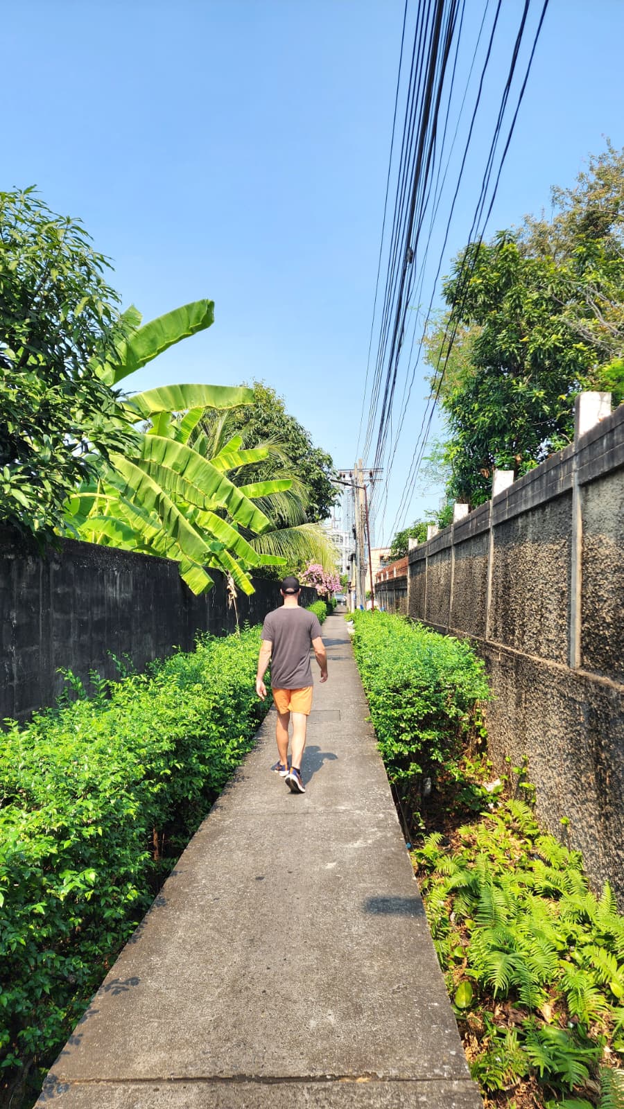 Ruelle Bangkok verte