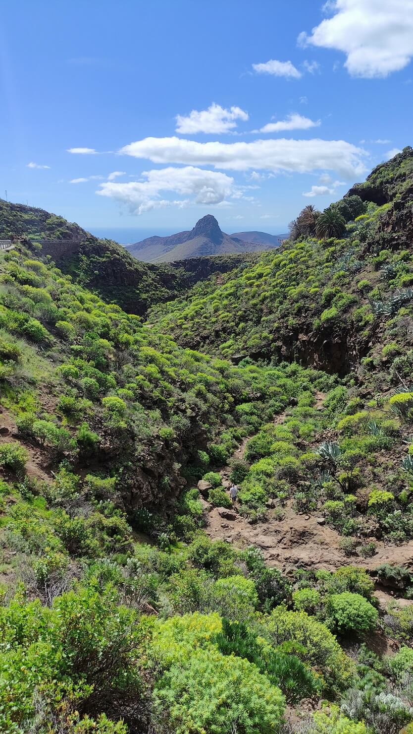 Barranco de las Vacas
