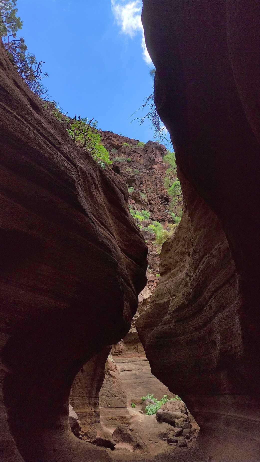 Barranco de las Vacas
