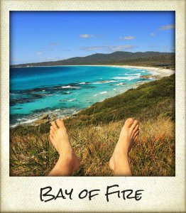BayOfFire.jpg-262x300