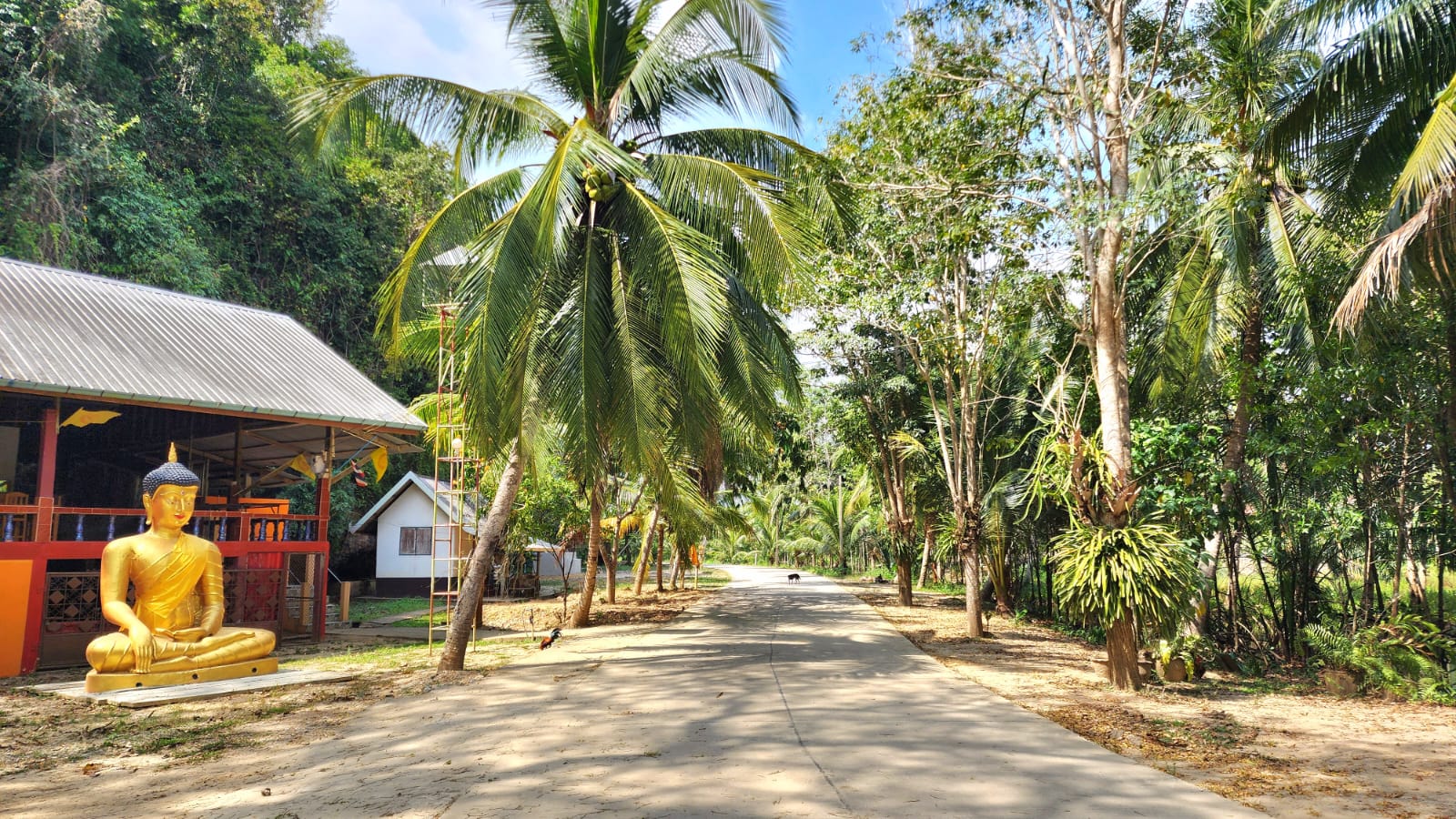 Jungle Khao Noi Cave chumphon 