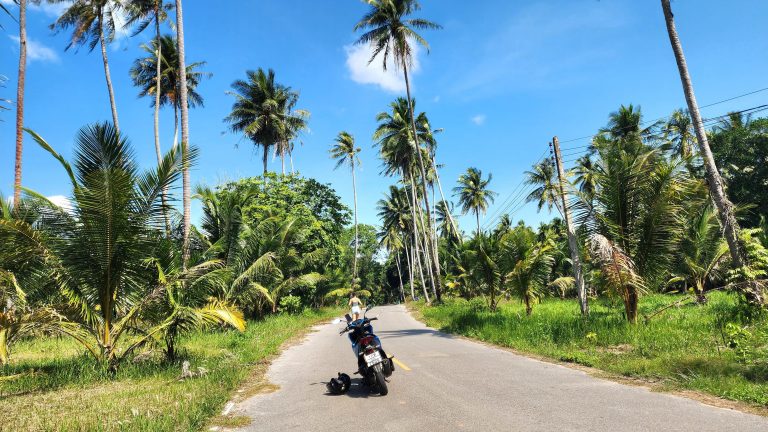 Une journée en scooter dans la jungle de Chumphon : itinéraire