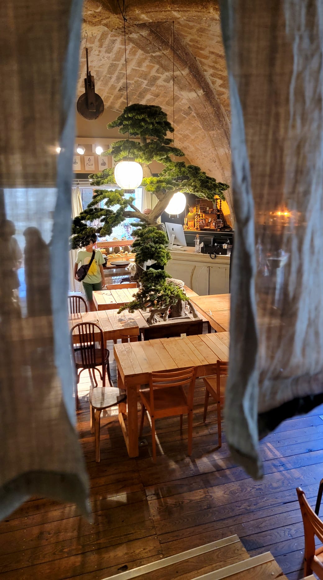 Arbre intérieur De La Luce Montpellier