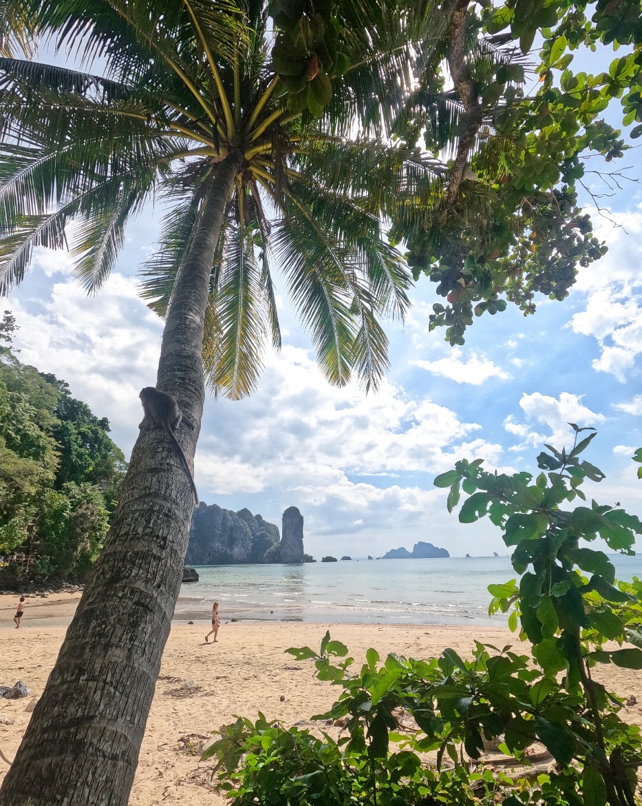 Début Monkey Trail Ao Nang