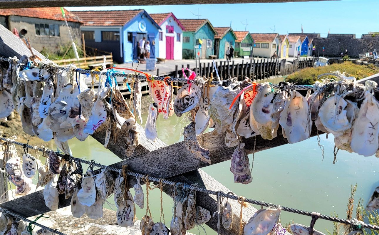 Oléron-pont-coquillage Oléron pont coquillages