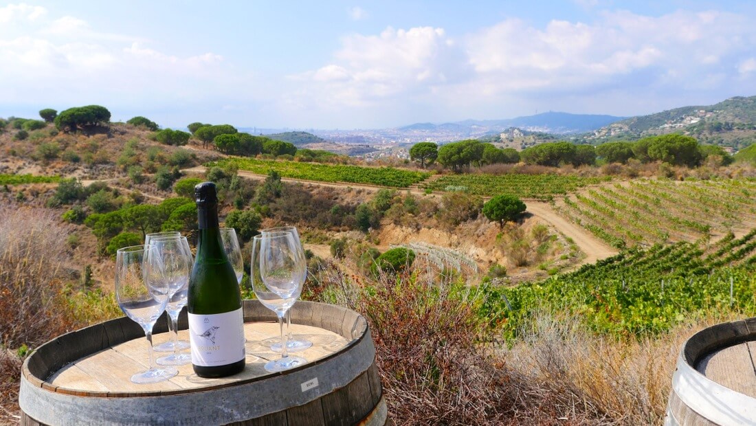 panorama vins barcelone Alta Alella