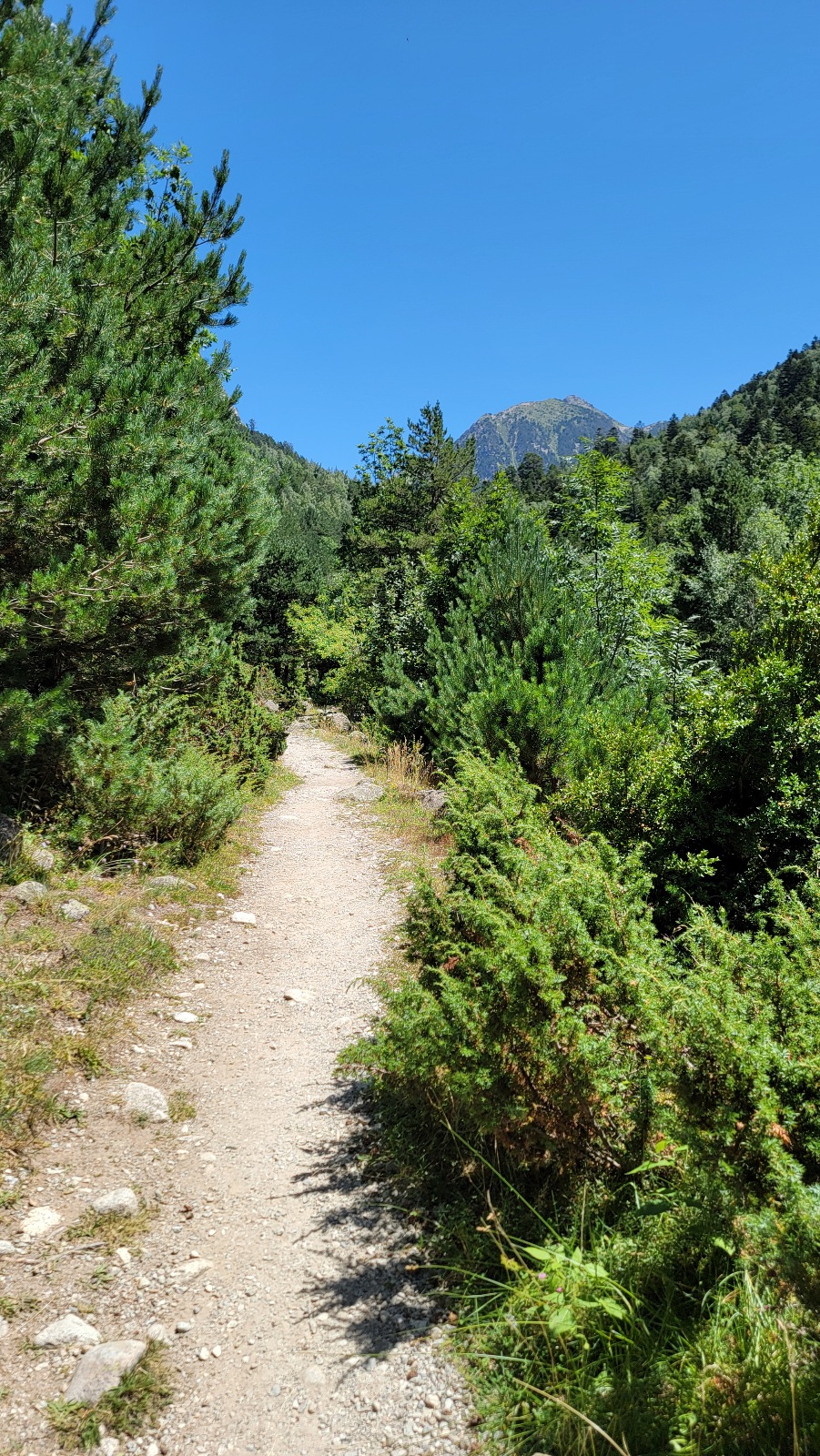 Parc national d'Aigüestortes et lac saint maurice Espagne randonnée marche montagne forêt chemin