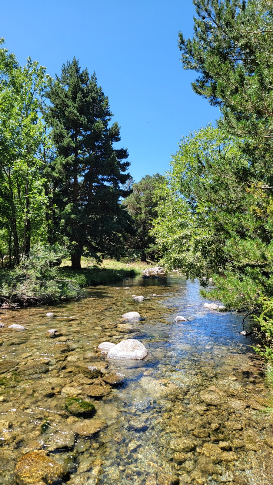 Parc national d'Aigüestortes et lac saint maurice Espagne randonnée marche cours d'eau montagne forêt nature