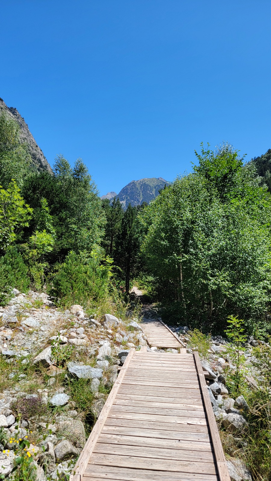 Parc national d'Aigüestortes et lac saint maurice Espagne randonnée marche pont montagne forêt nature chemin