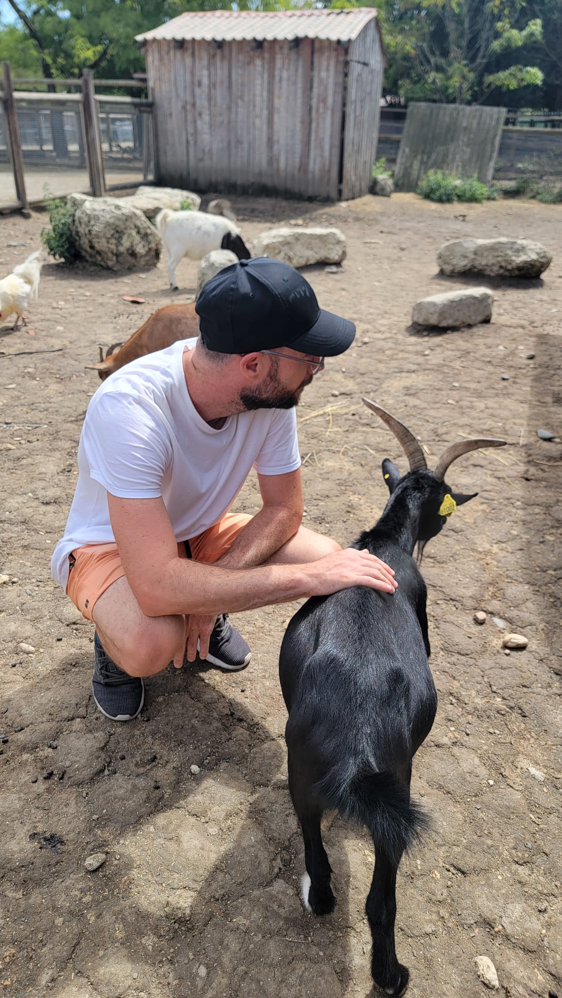 Immersion avec les chèvres Planet Exotica