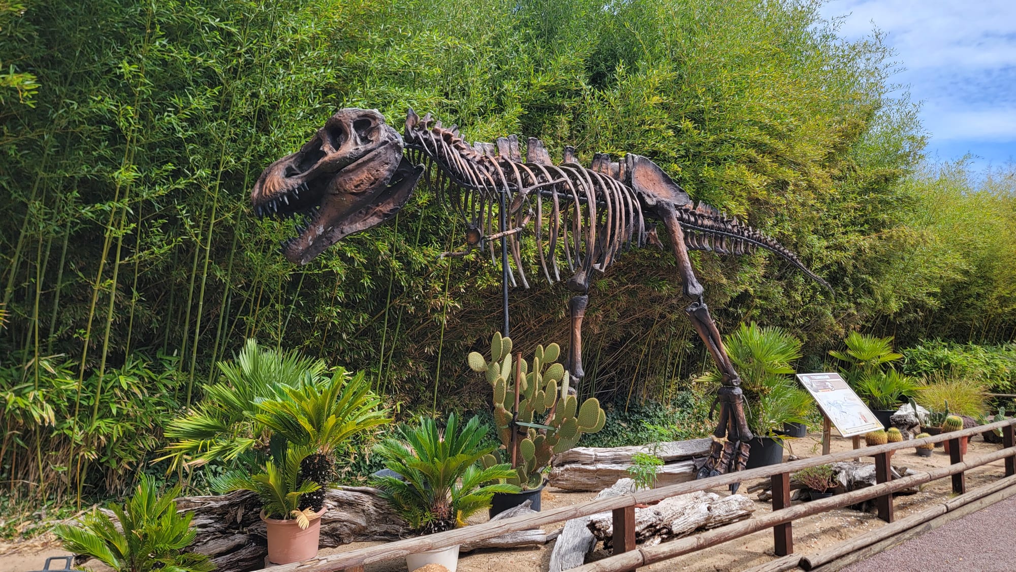 Dinosaure Planet Exotica