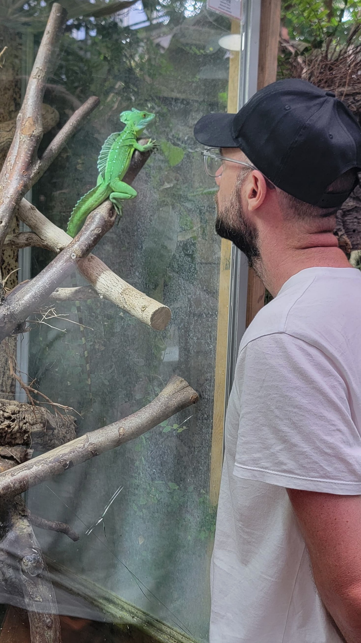Visiteur devant terrarium Planet Exotica
