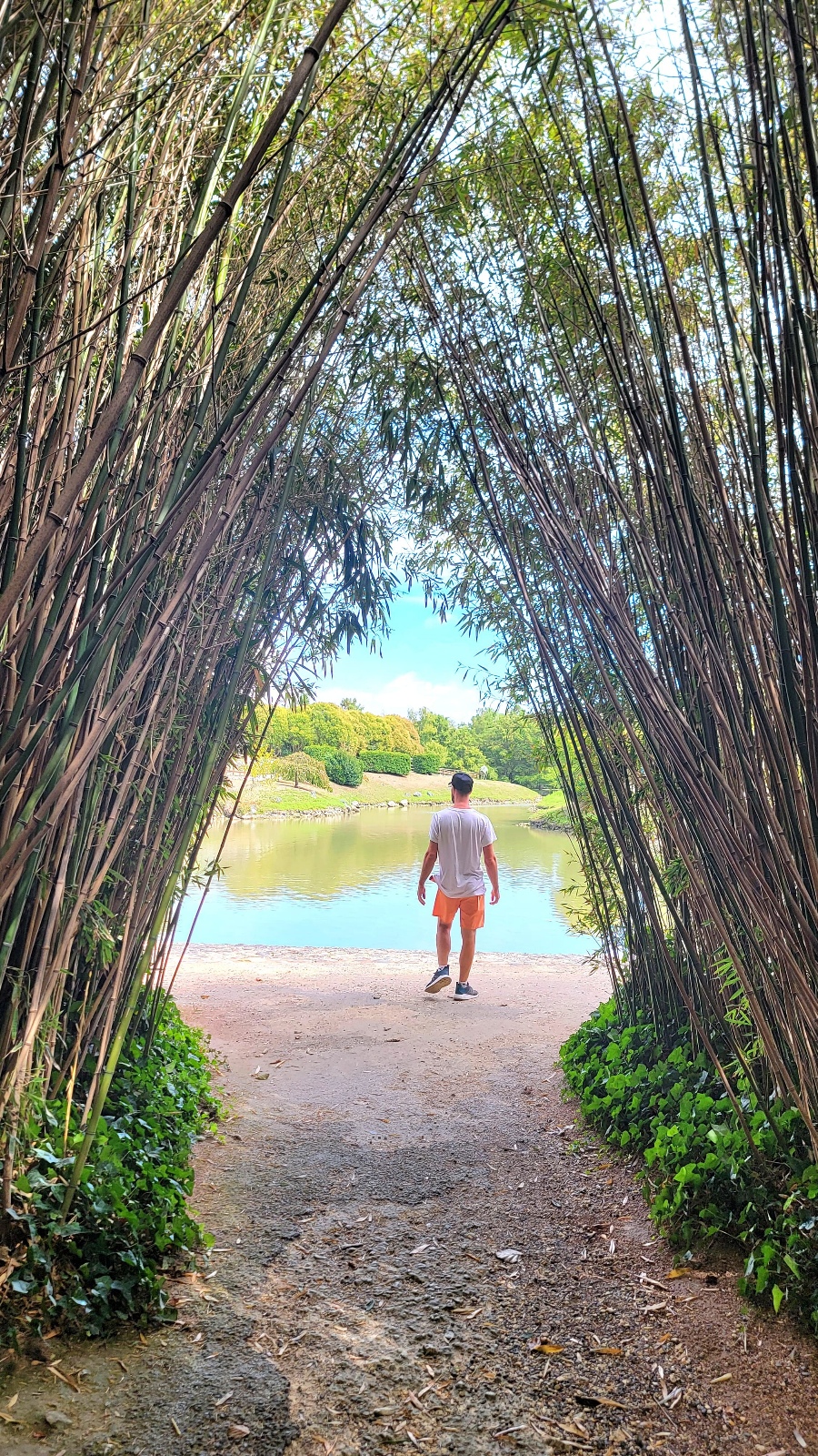 Sortie de la bambouseraie Planet Exotica