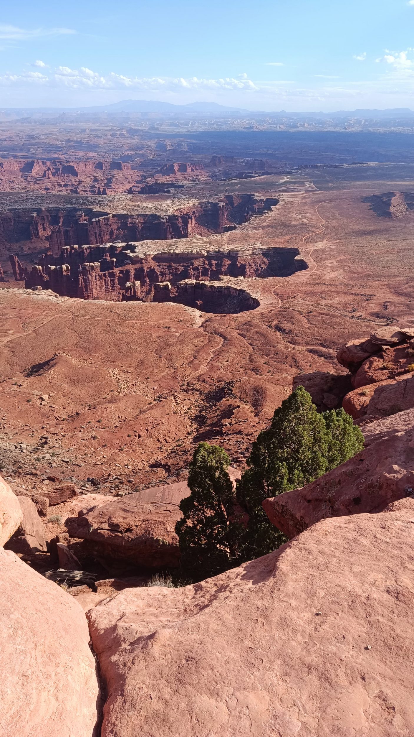Canyonlands panorama portrait