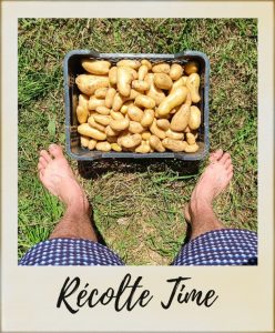 Recolte-pieds-248x300
