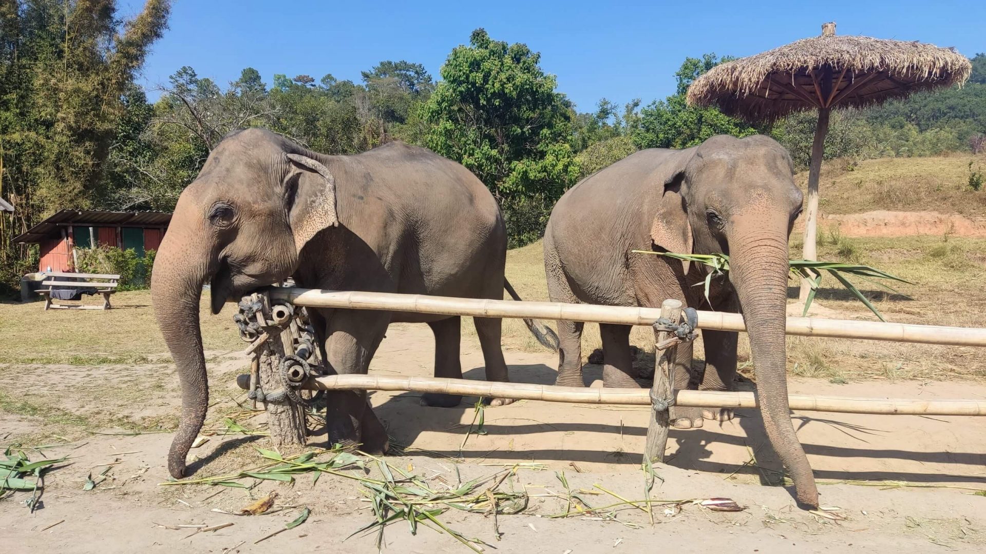Sanctuaire-elephant-chiang