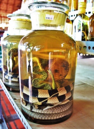 bocaux alcool riz