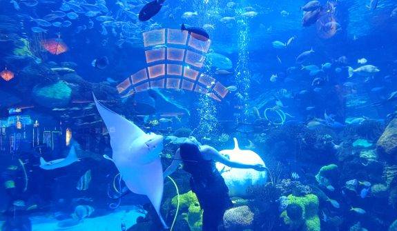 aquarium-silverton-575x335 Silverton Aquarium