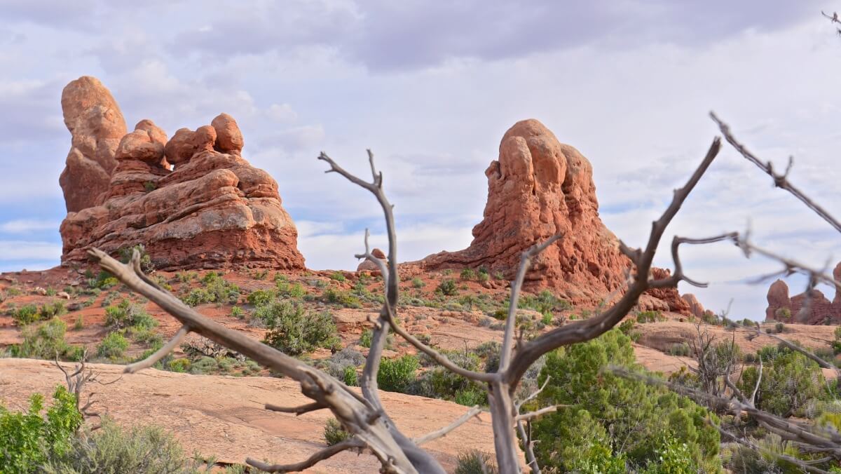 arches point de vue