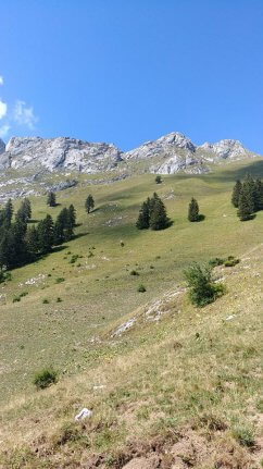 Ascension Dent d'Oche