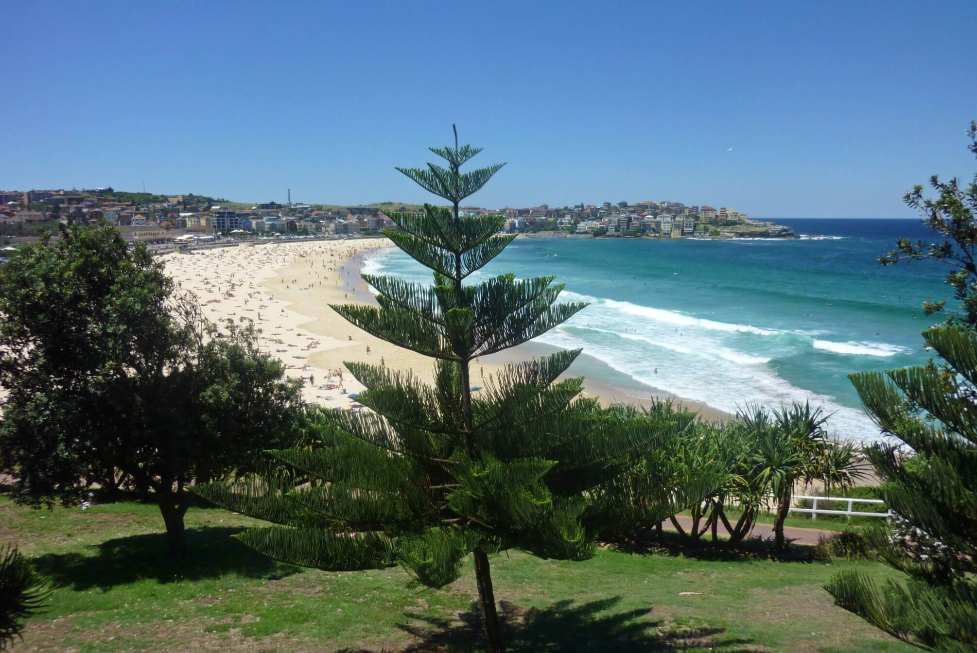 bondi beach sydney
