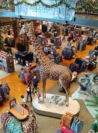 brass-pro-girafe-316x431 Girafe empaillée BRass Pro Vegas