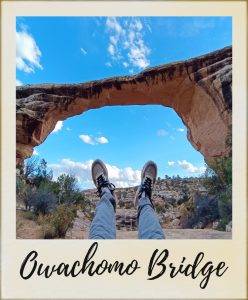 bridges-nm-248x300
