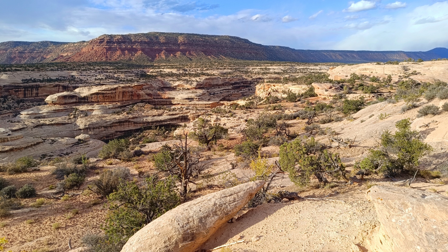 bridges-panorama