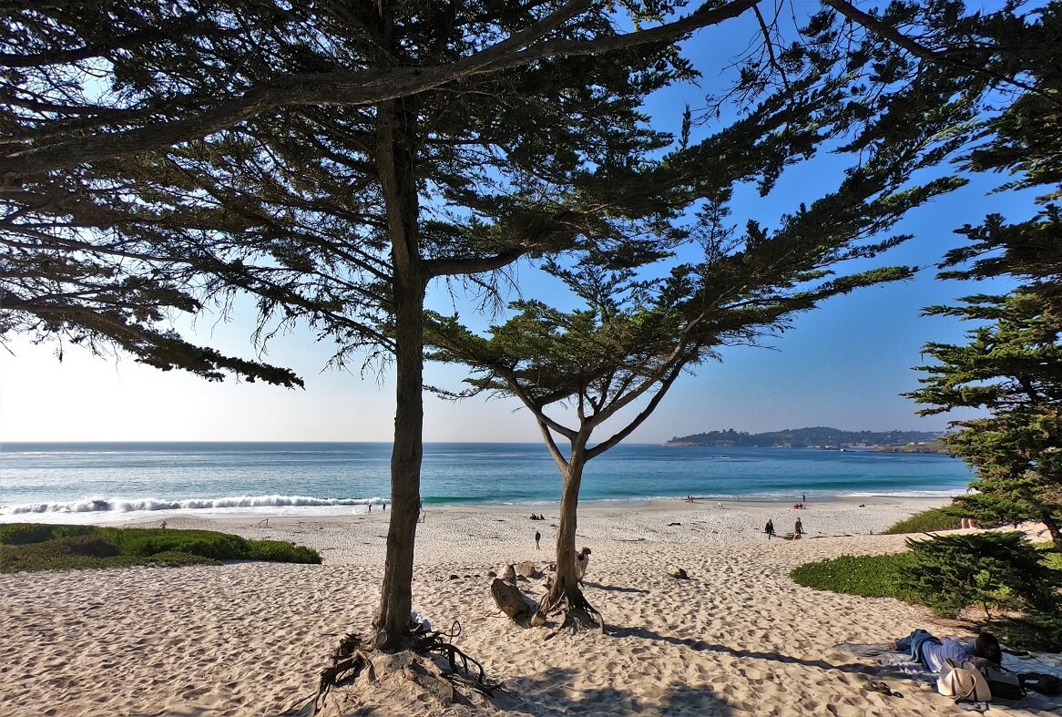 Carmel Beach