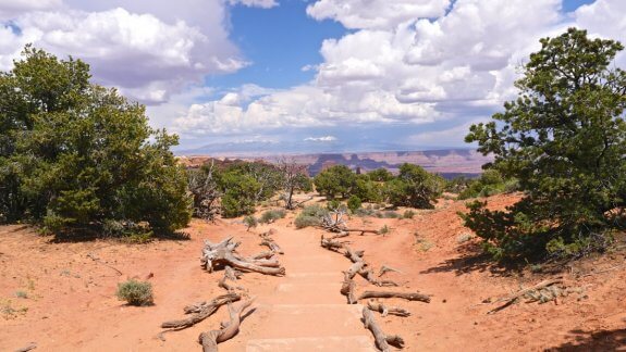 chemin trek Canyonland