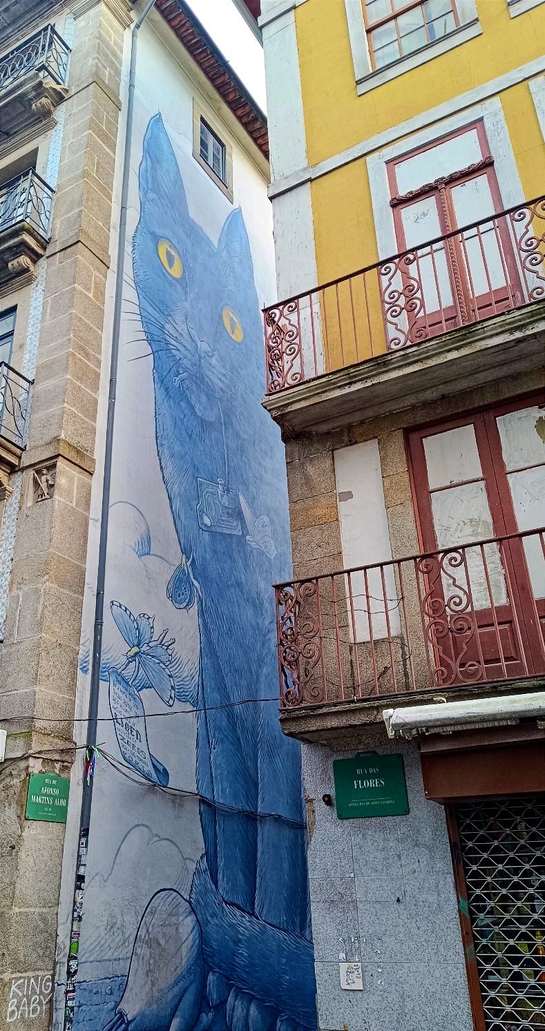chat-porto