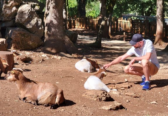 Immersion avec les chèvres Parc animalier de Gramat 